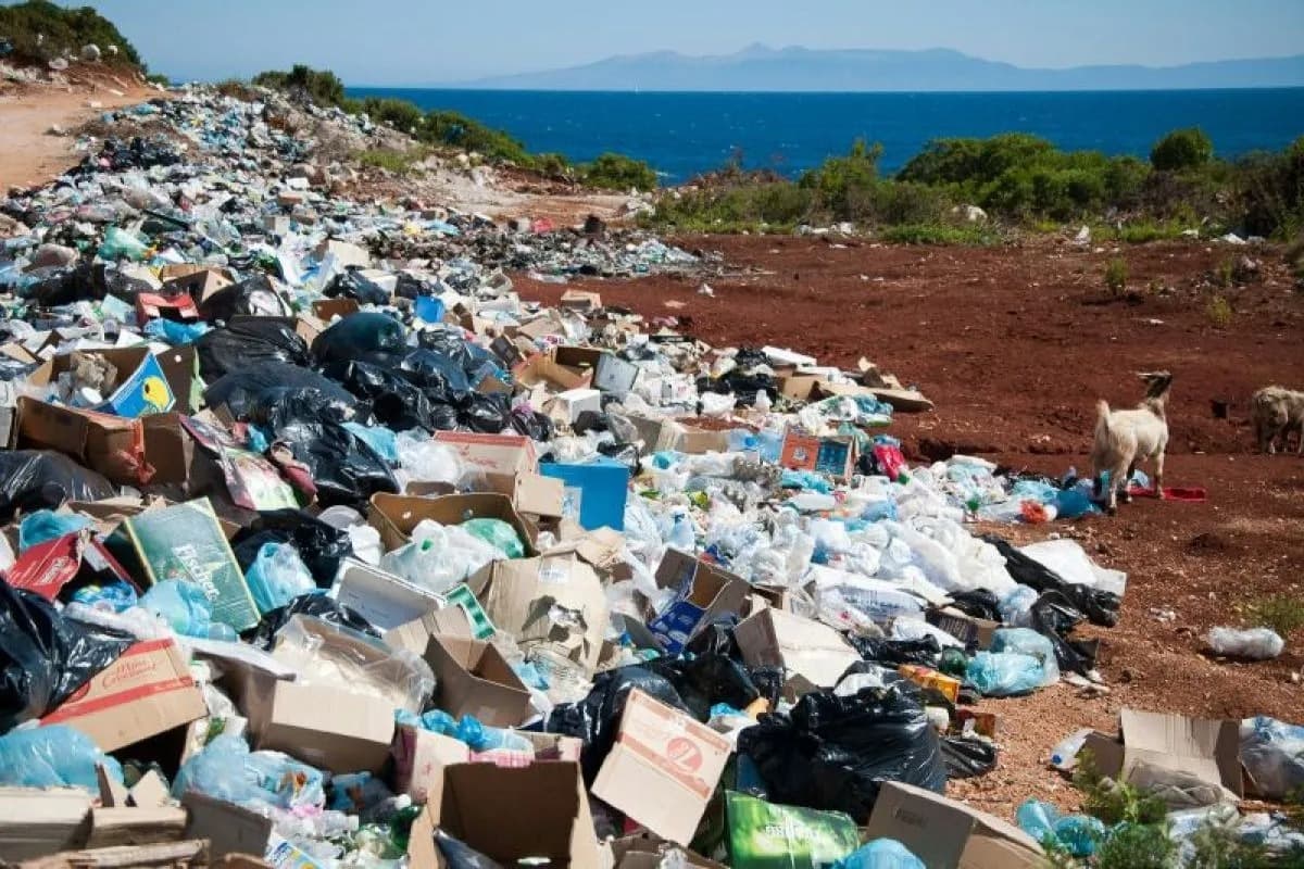Bali's New Waste-to-Energy Plant: A Game Changer for Sustainability