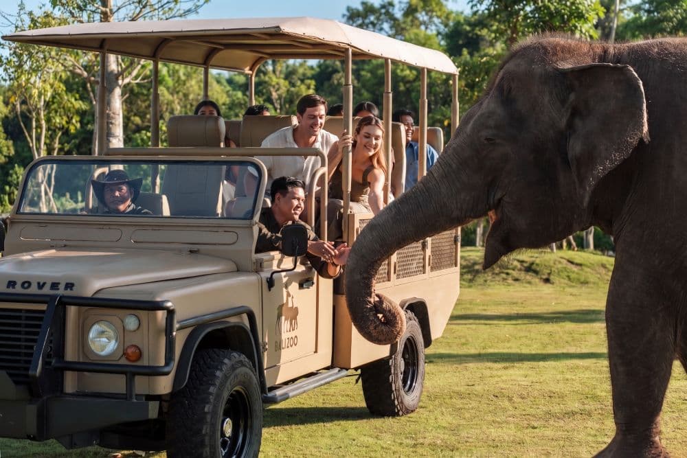 Bali Zoo Complete Guide: Animals, Hours & Visitor Tips