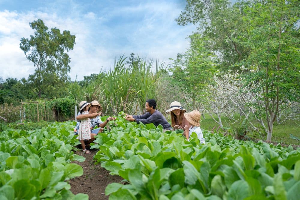 AYANA Resort Bali Transforms Family Holidays With Educational Camps