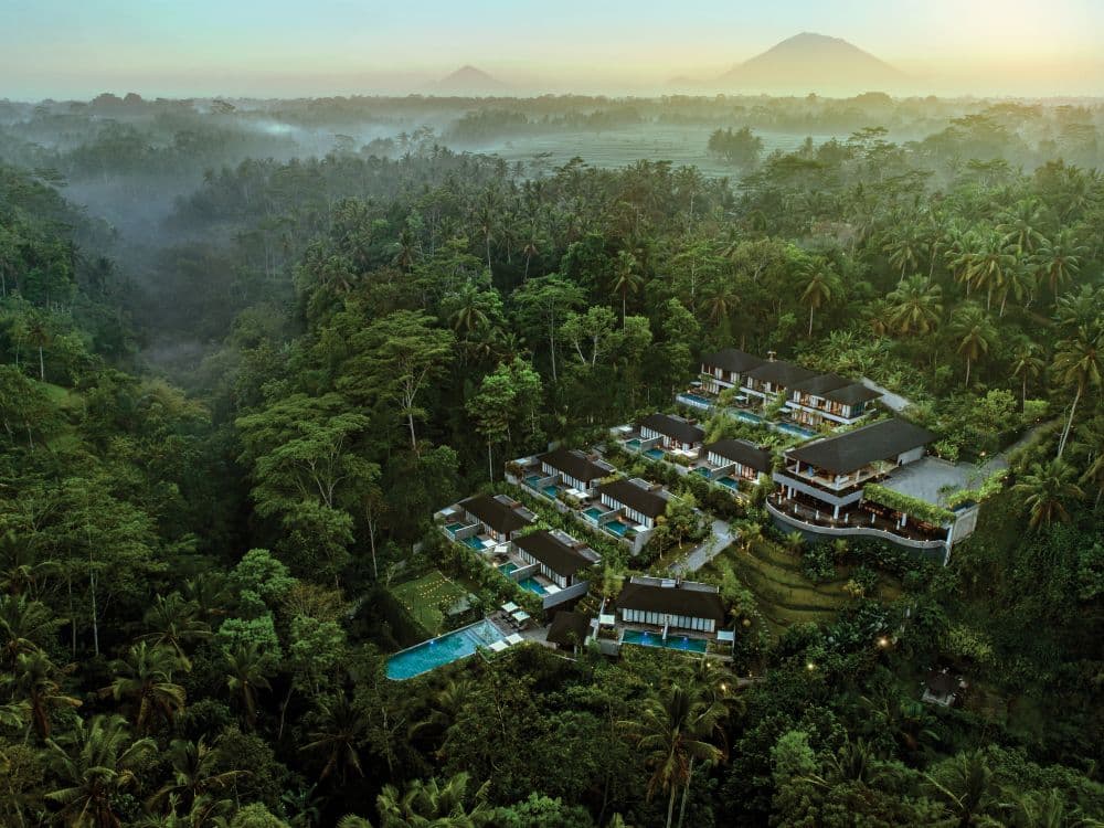 Slow Wellness in Ubud: How Samsara Redefines Bali Retreats