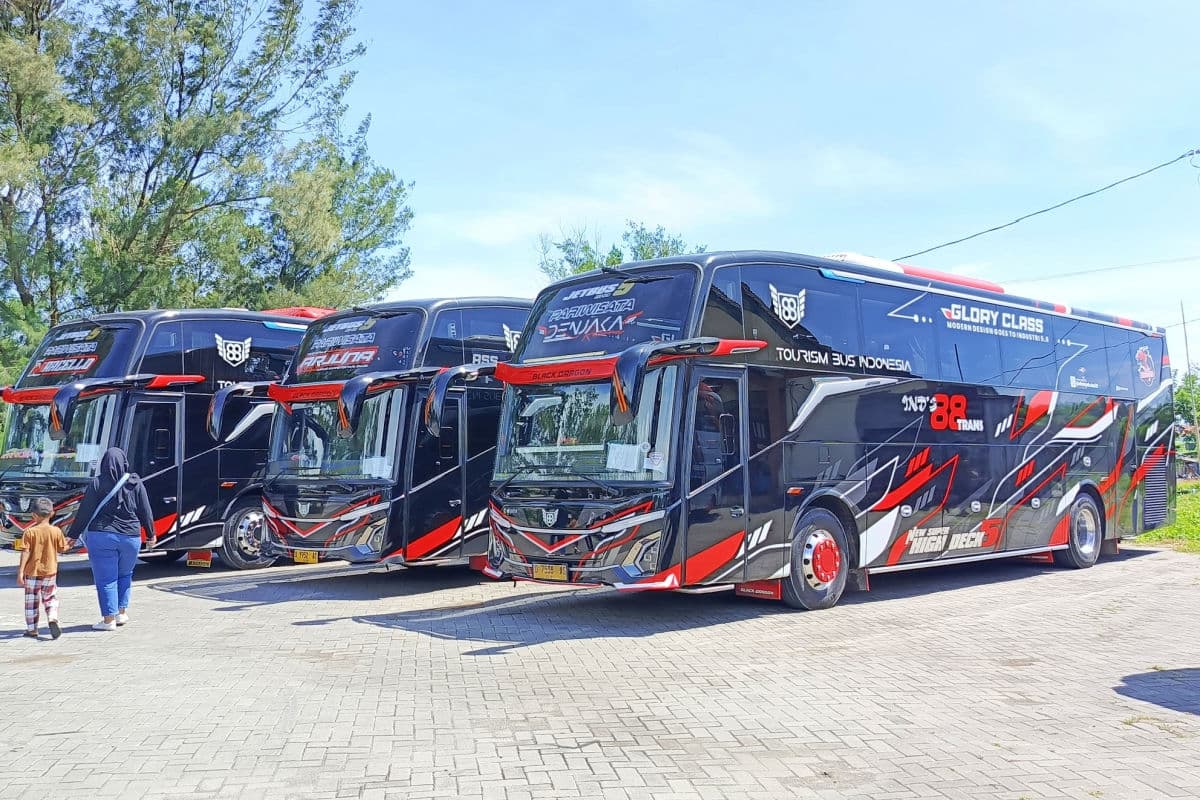Budget Bus Services Expand Travel Options for Bali Visitors