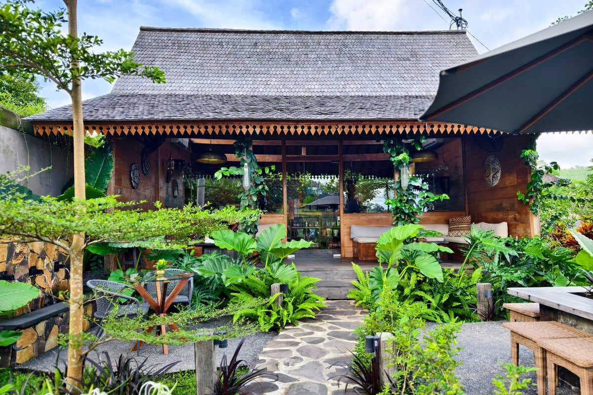 Bali's Hidden Jungle Eco-Stays: Wellness Retreats Beyond the Beach