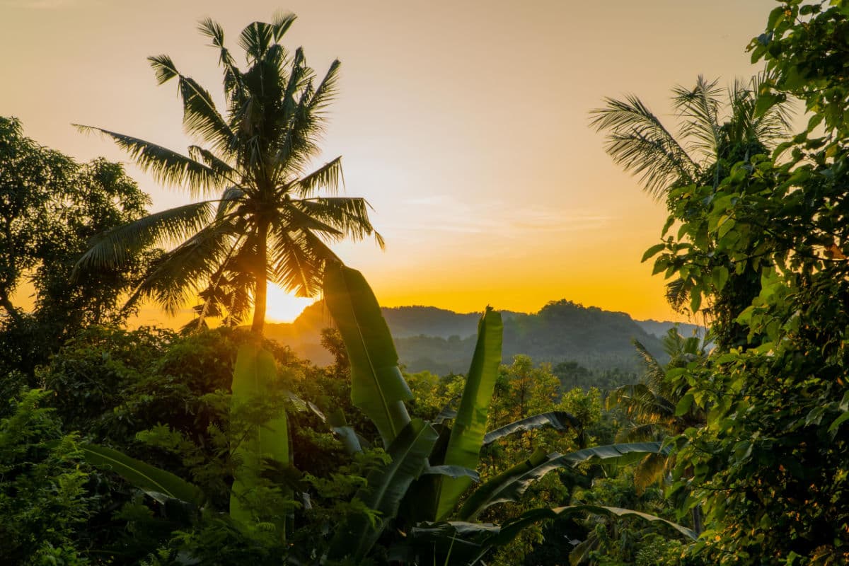 Homemade Tourist Attractions Offer Authentic Bali Experiences