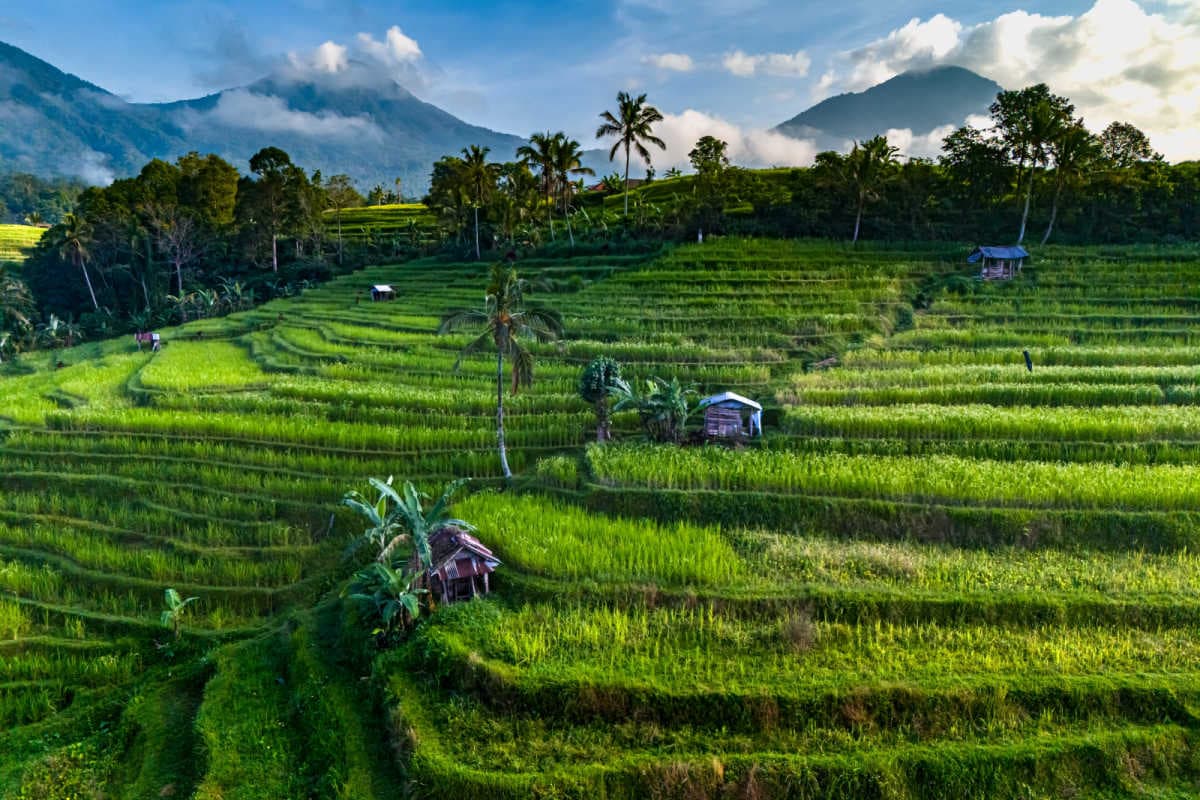 Make the Most of Your Bali Trip: 4-Day Itineraries for Every Traveler