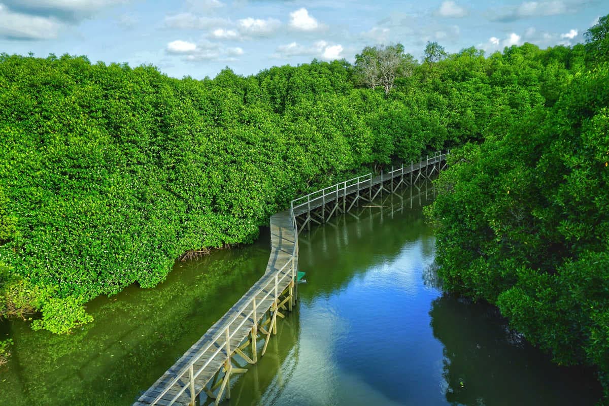 Bali's New Ecotourism Push Opens Hidden Destinations to Conscious Travelers