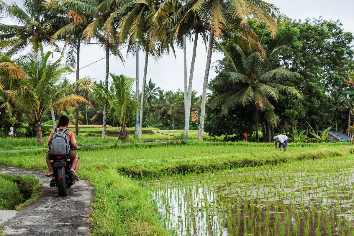 Slow Travel in Bali: Discover Hidden Gems Beyond Tourist Routes
